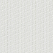 Fabrics Transparent SCREEN THERMIC S2 1% 0202 White 