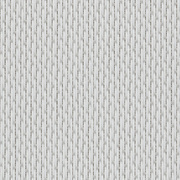 Fabrics Transparent SCREEN THERMIC S2 1% 0207 White Pearl