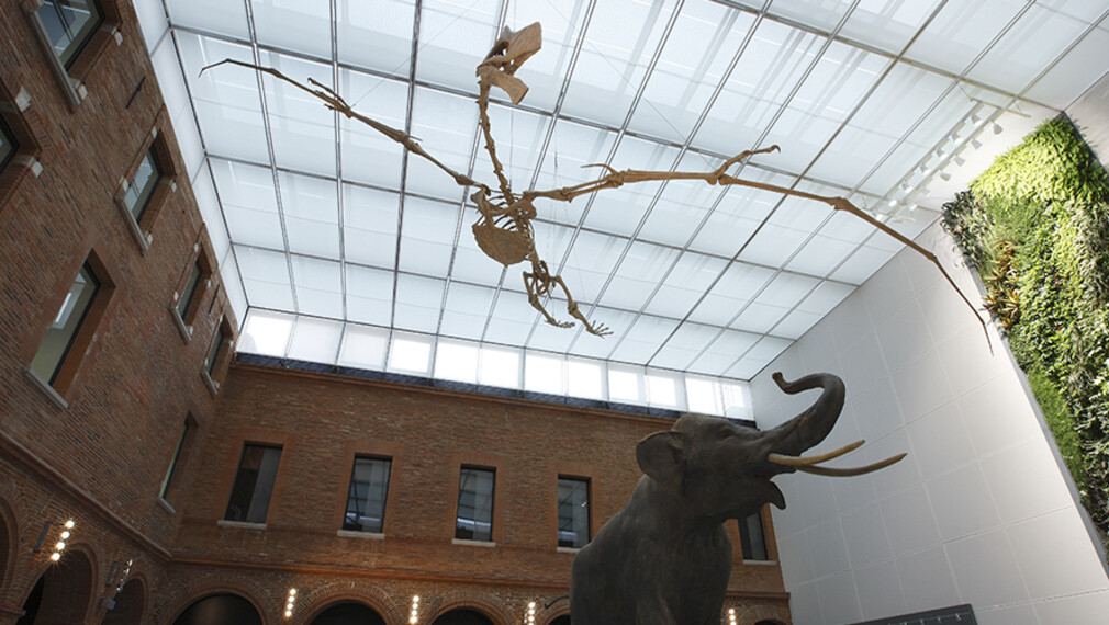 PROJECT: TOULOUSE MUSEUM